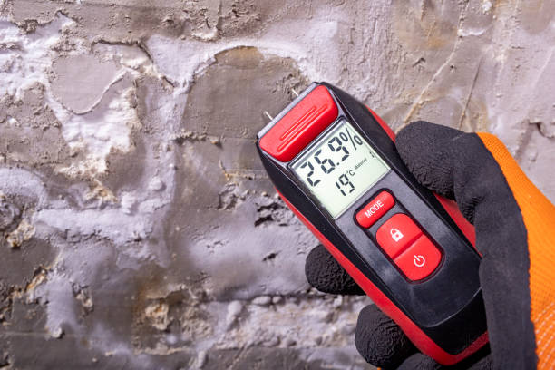 Best Mold Removal Specialists  in Boyceville, WI