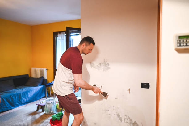Attic Mold Removal in Boyceville, WI